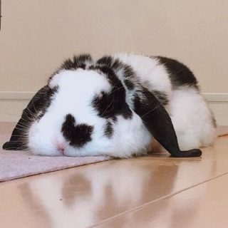 アバター画像